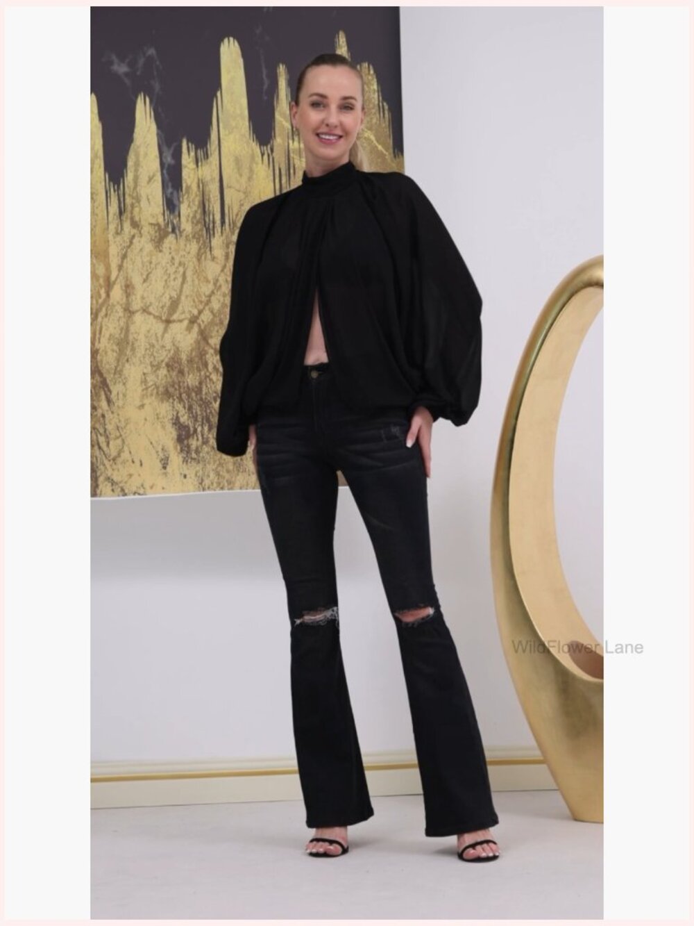 Sexy Sheer Chiffon Lantern Sleeve Blouse Front Back Open Self Tie Top - Picture 7 of 7